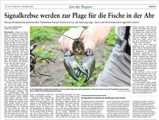 Rhein-Zeitung 06.10.2020