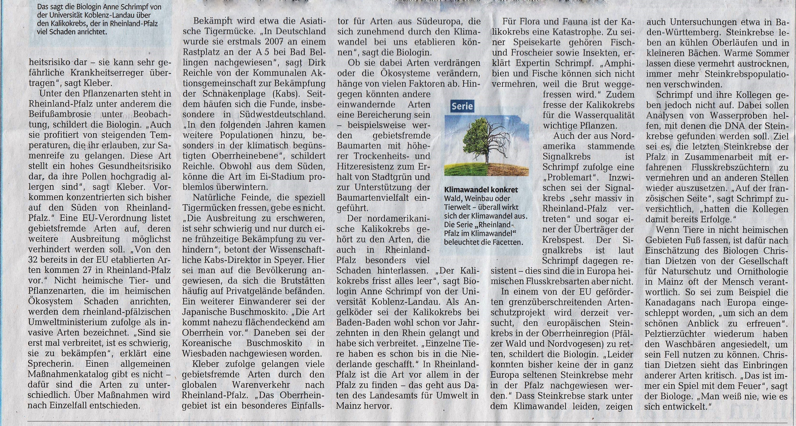 Rhein-Zeitung 26.08.2021